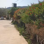 Zeka Daire Ksamil